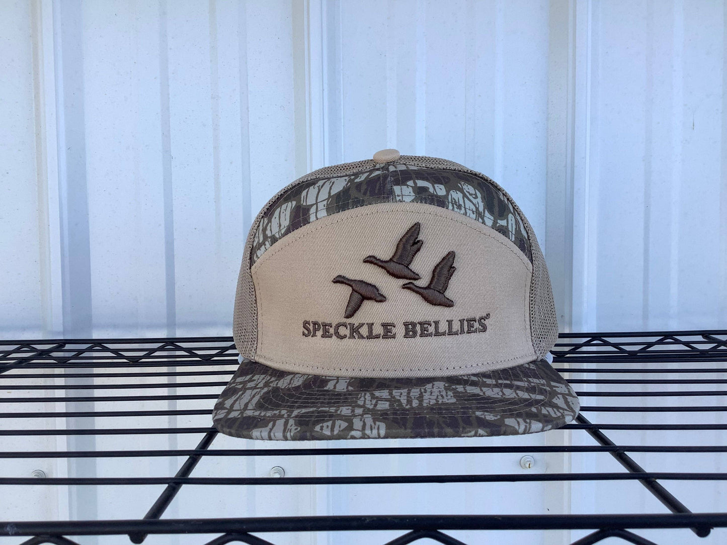 3G/3D Logo 7 Panel: Muddy Bottom
