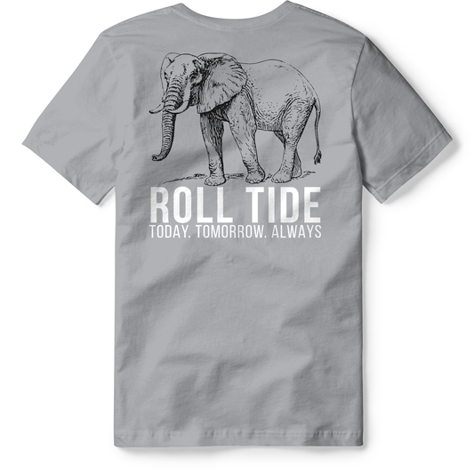 Alabama - Roll Tide Always: Kids / Brick