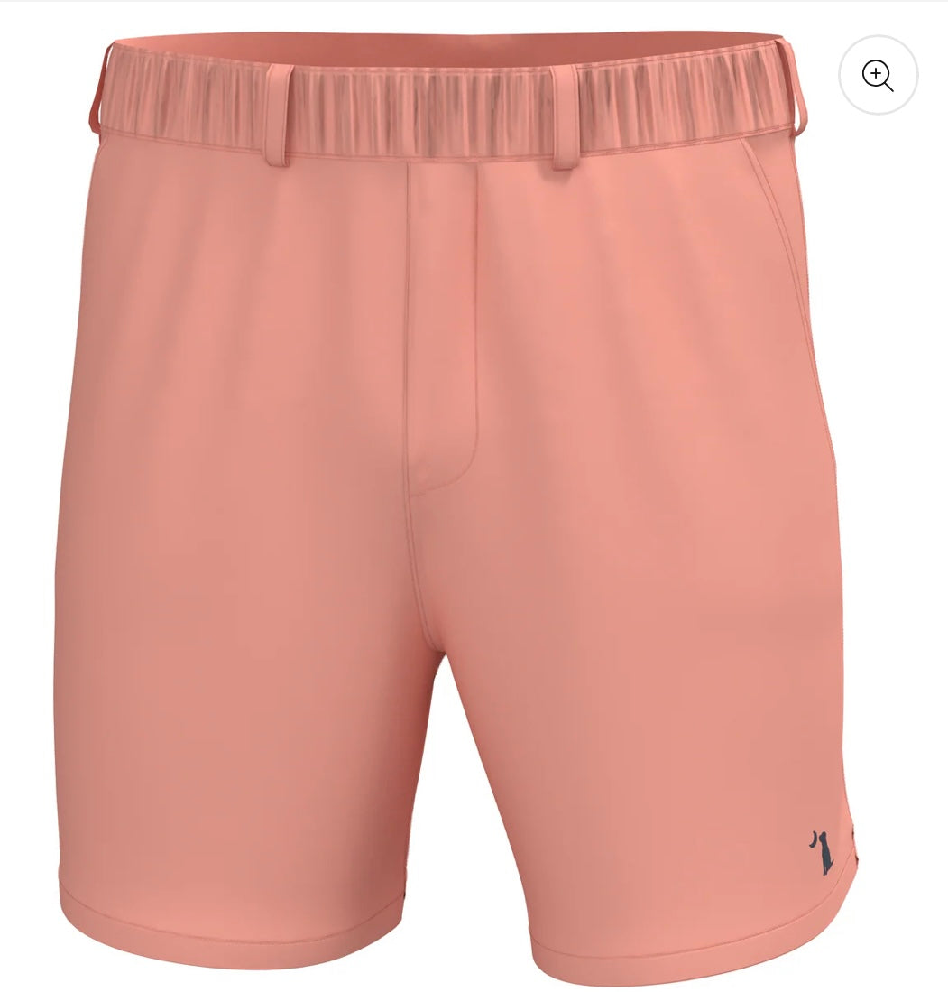 Local Boy Volley Shorts - Peach