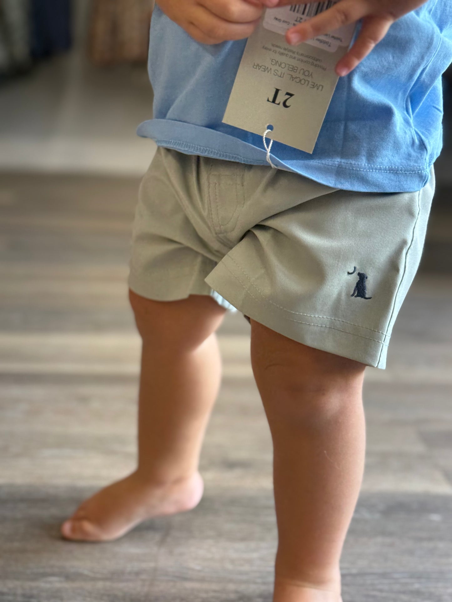Toddler Local Boy Volley Shorts - Cool Gray