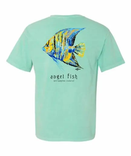 PHINS - Adult - Angel Fish