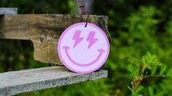 Scent South - Smiley Air Freshener