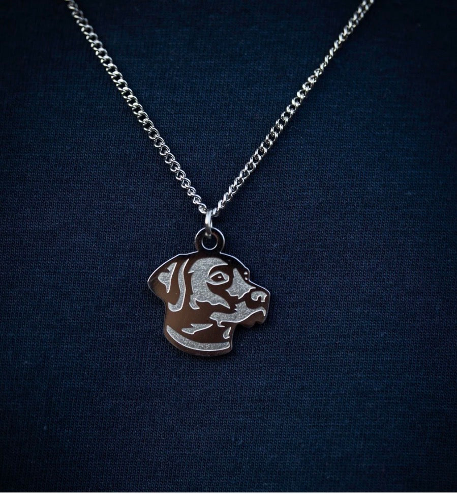 Lab Stainless Steel Necklace with Pendant