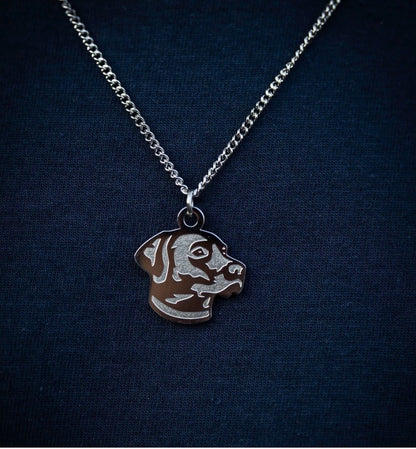 Lab Stainless Steel Necklace with Pendant