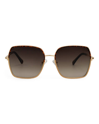 Aspen - Women's Oversized Square Frame Sunglasses: Brown