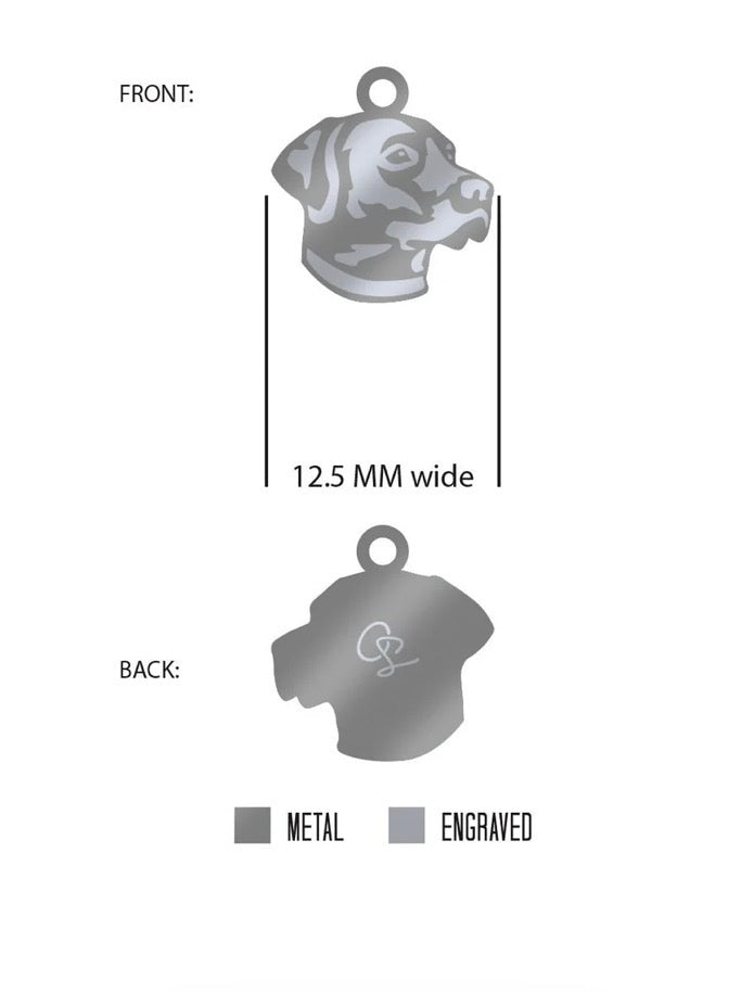 Lab Stainless Steel Necklace with Pendant