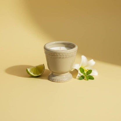 4 oz French Provincial Candle: Paradise