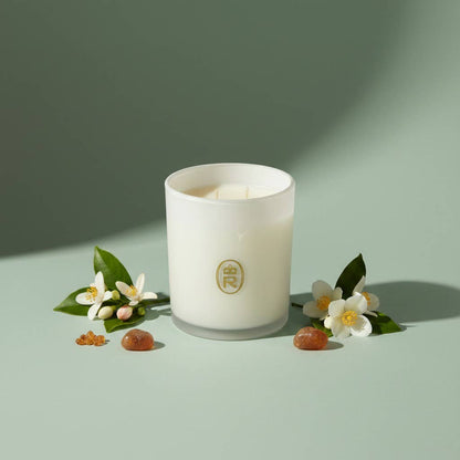 14 oz Boxed Glass Candle: Orleans Tea