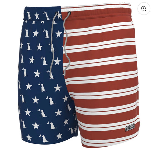 Youth Local Boy Bayview Swim Trunks - American Local