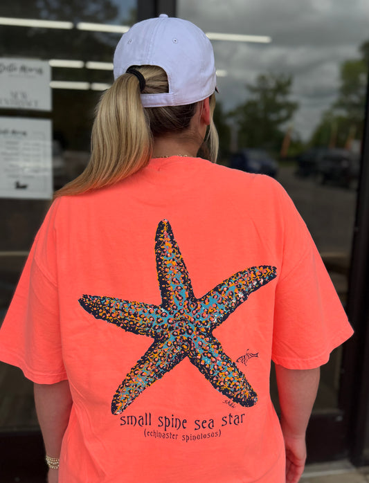 PHINS - Adult Small Spine Sea Star