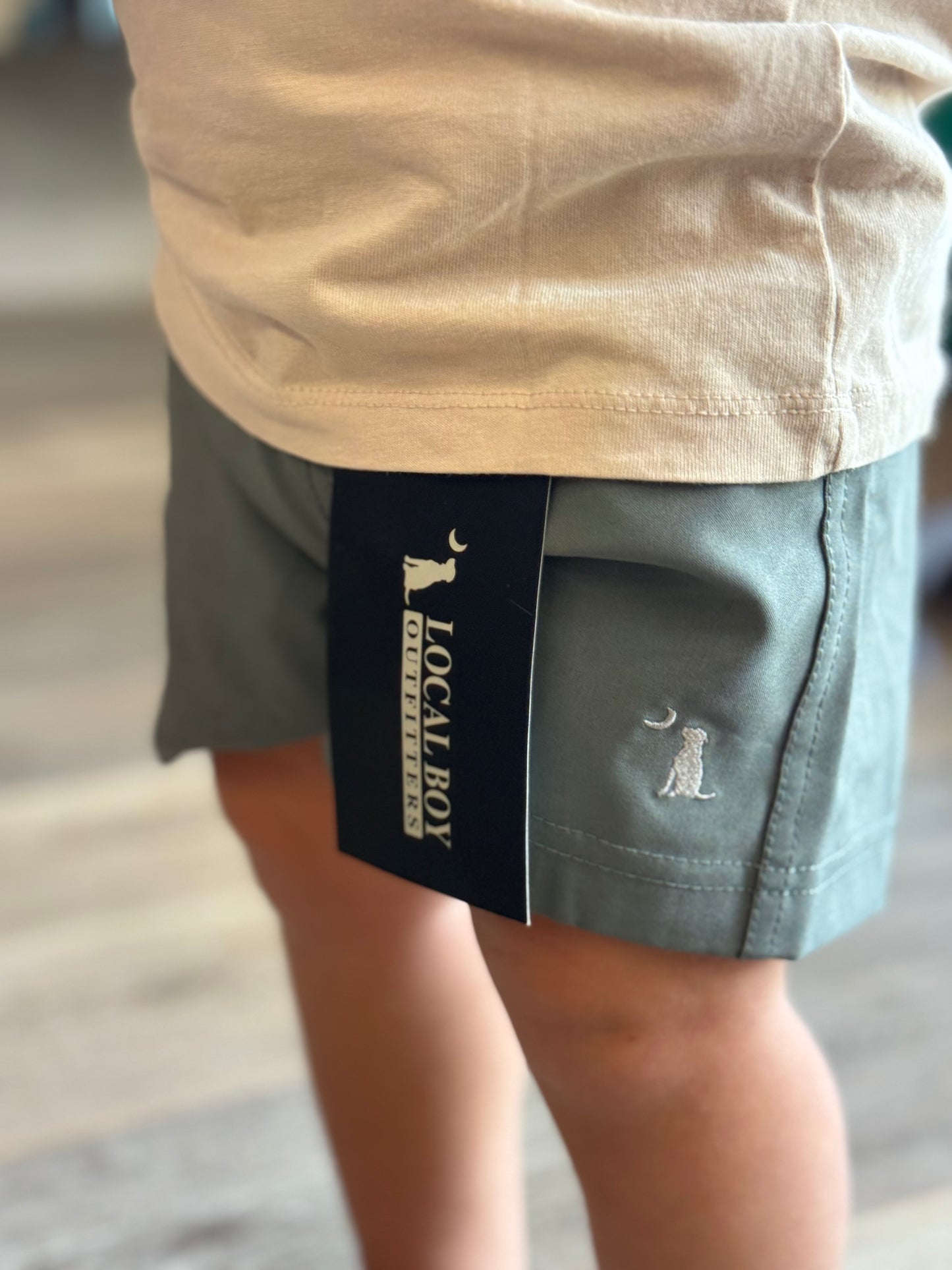 Toddler Local Boy Volley Shorts - Olive