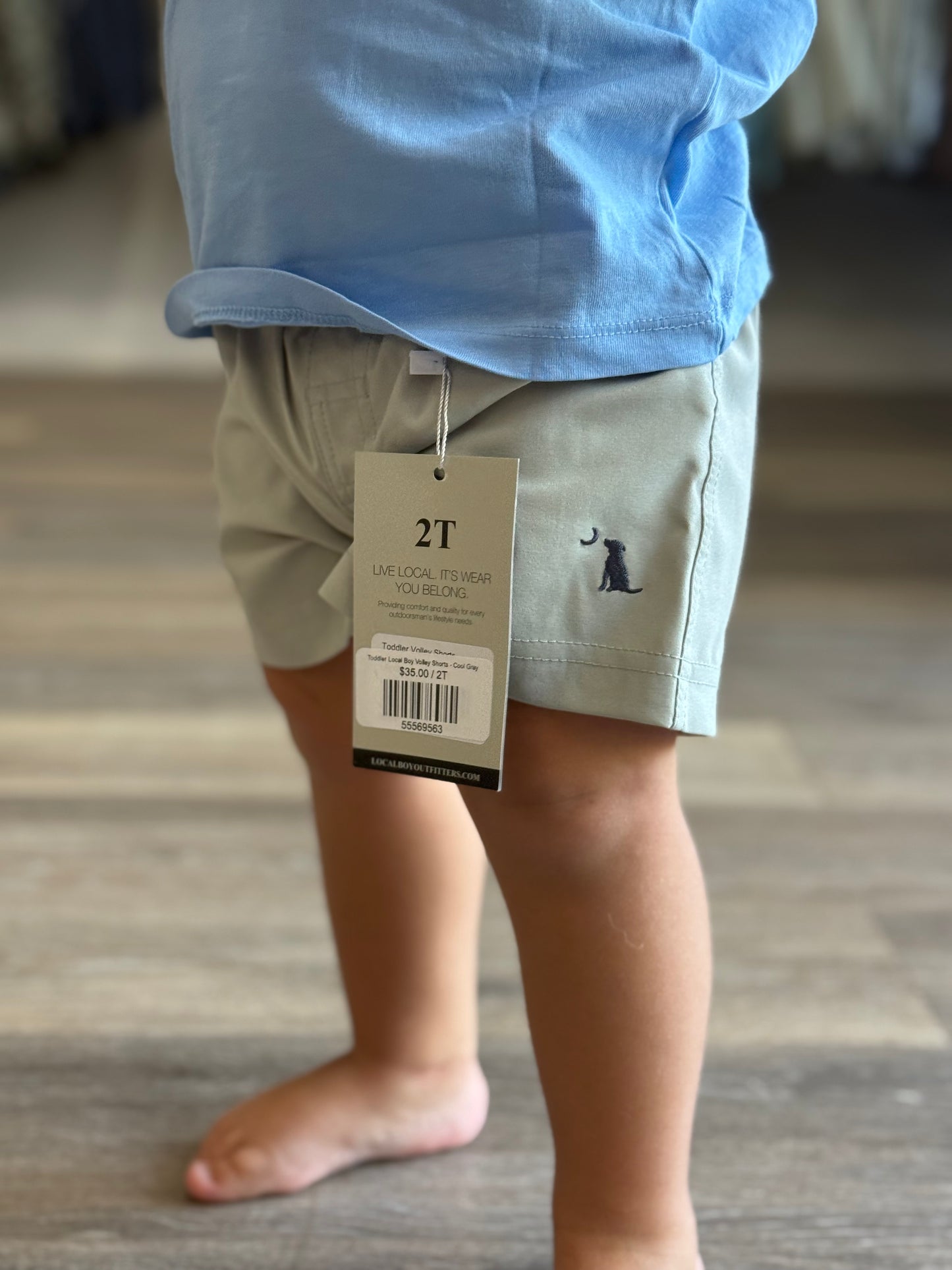 Toddler Local Boy Volley Shorts - Cool Gray