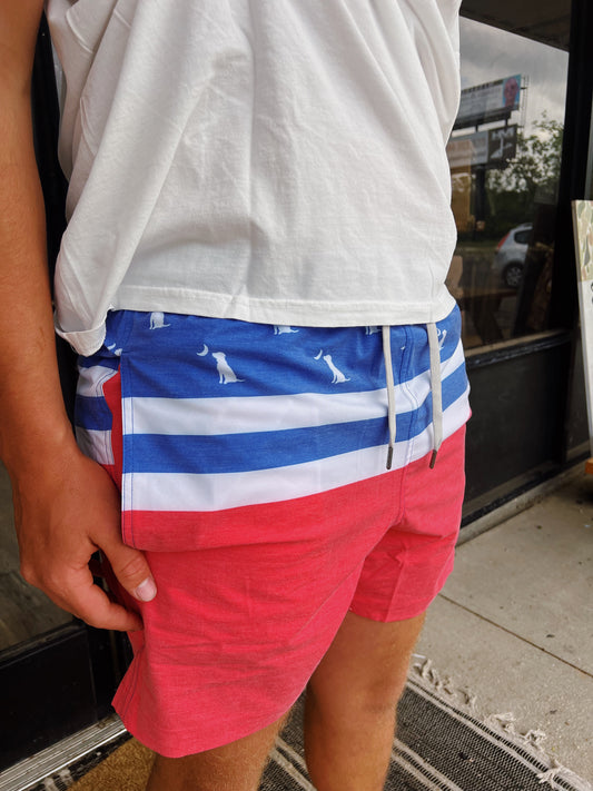 Local Boy Outfitters Bayview Swim Trunks - RWB