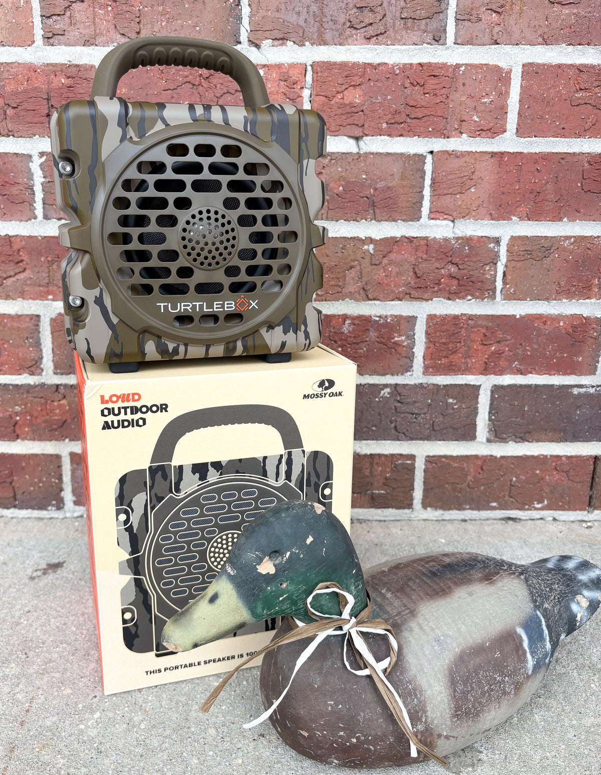 Cub Turtlebox - Mossy Oak Bottomland