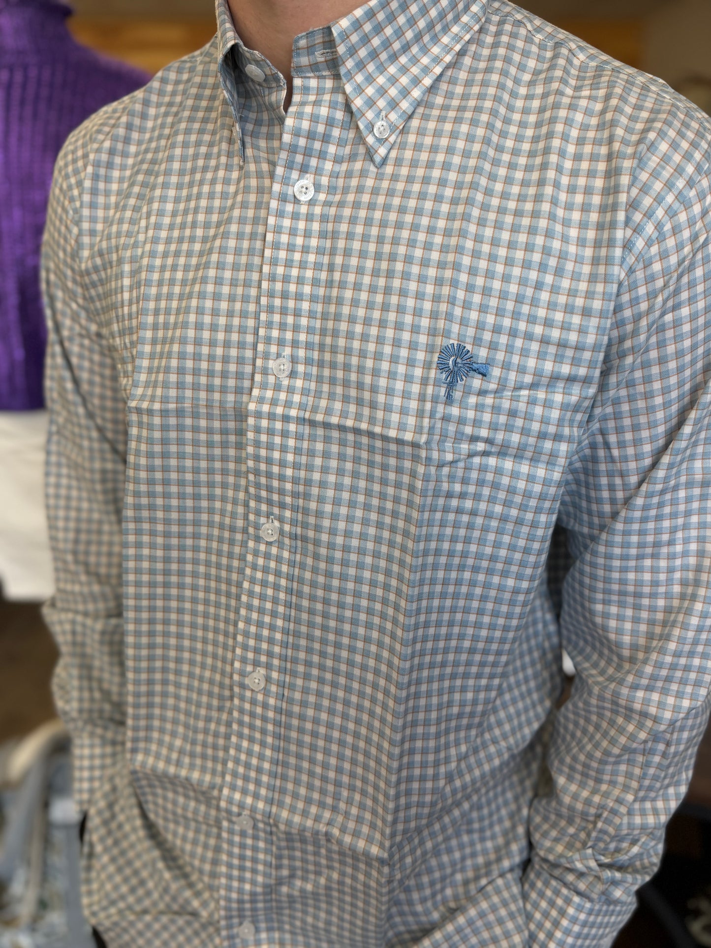 Old South Breeze Button Down