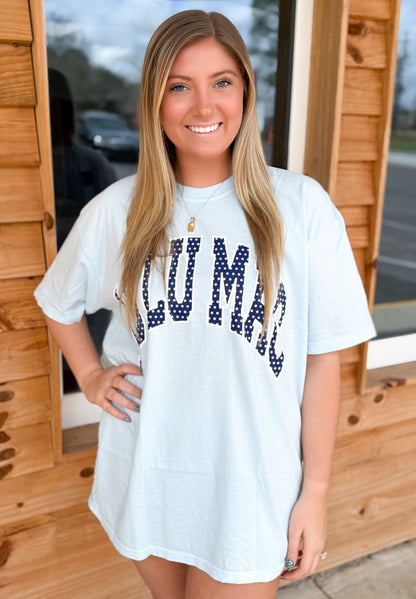 Lulu Mac ADULT Chambray COMFORT COLORS Polka Dot TEE