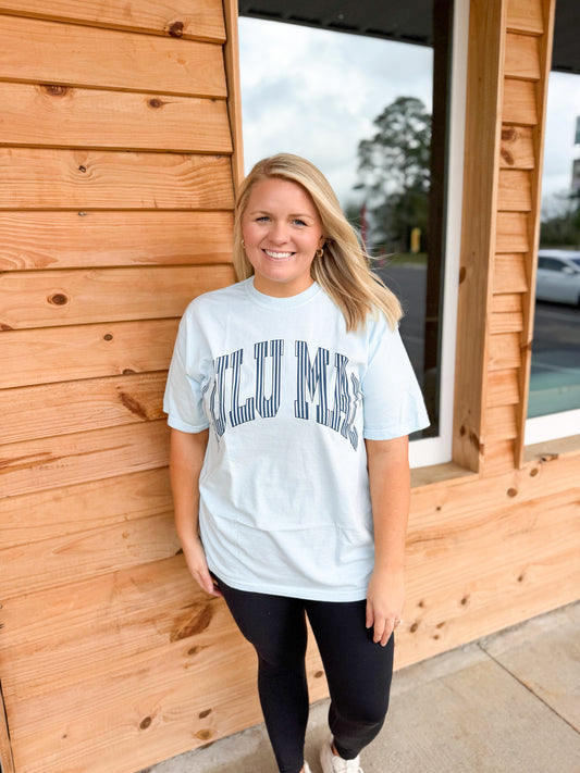 Lulu Mac Stripe Adult Chambray Comfort Colors Tee
