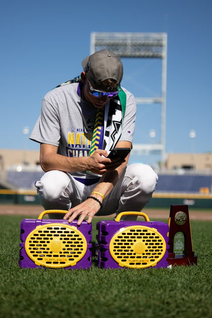 TurtleBox Audio - Original: Gen 3 - Purple/Gold Collegiate Series