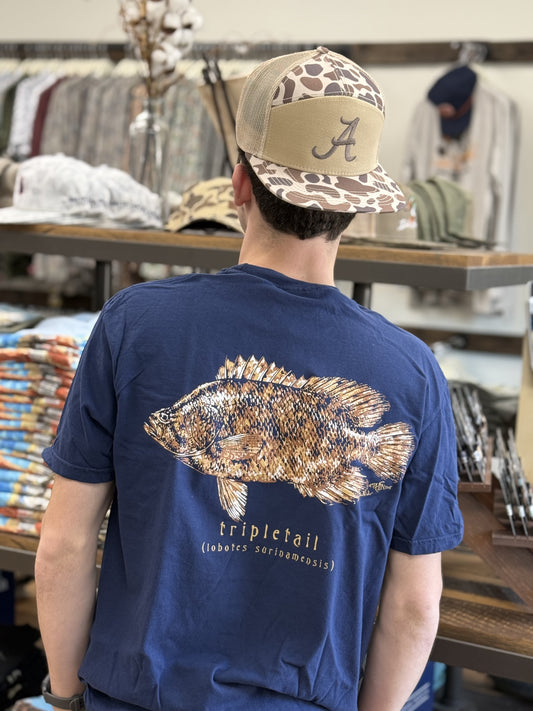 PHINS - Adult Tripletail