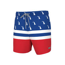 Youth Local Boy Outfitters Bayview Swim Trunks - Red/White/Blue