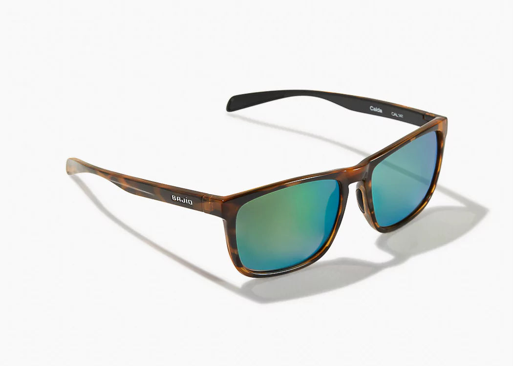 Bajio Calda - Brown Tort Gloss/Green Glass