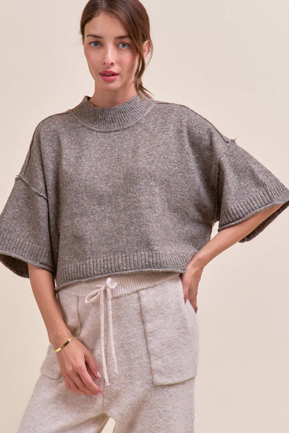 MARLED KNIT MOCK NECK SHORT SLEEVE SWEATER MSW11178: Red