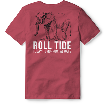 Alabama - Roll Tide Always: Kids / Brick